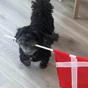 charlie